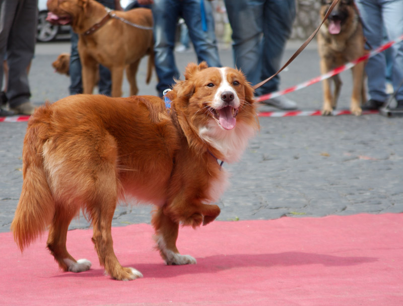 _MG_9570.jpg