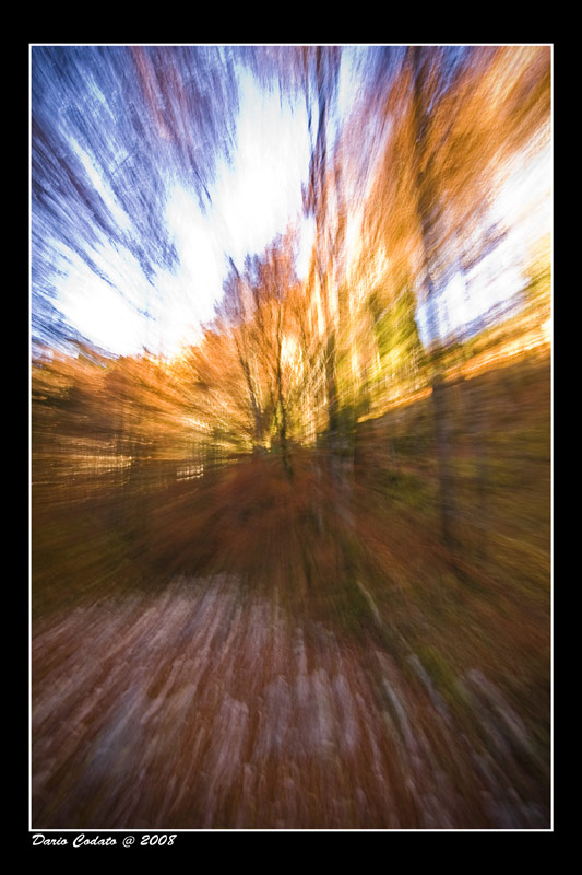 _MG_9982.jpg