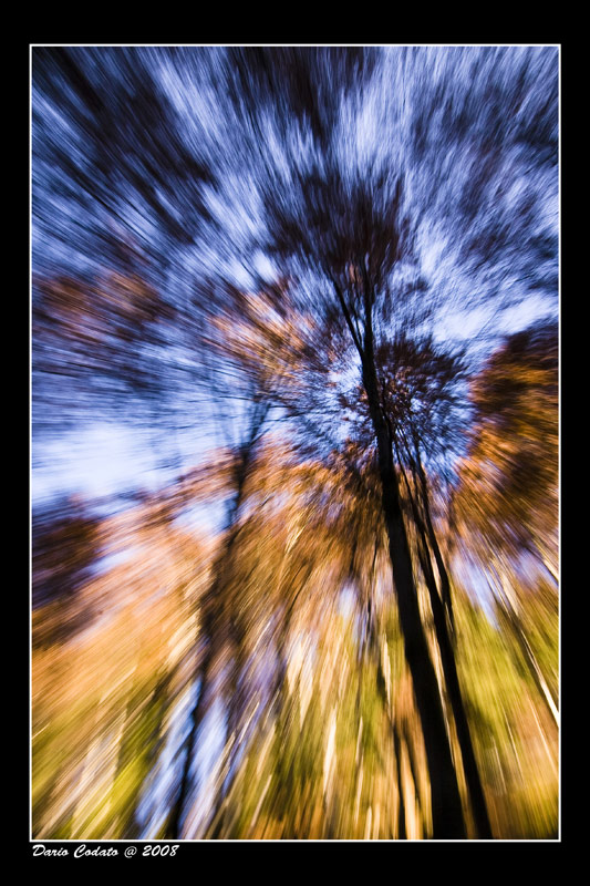 _MG_9993.jpg