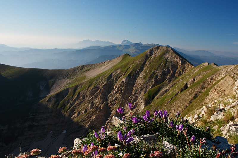 _PAO3783-Creste-con-flora-in-primo-piano.jpg