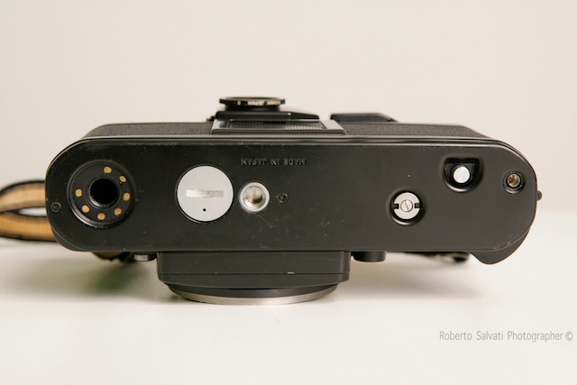 _R5U9903 22.jpg