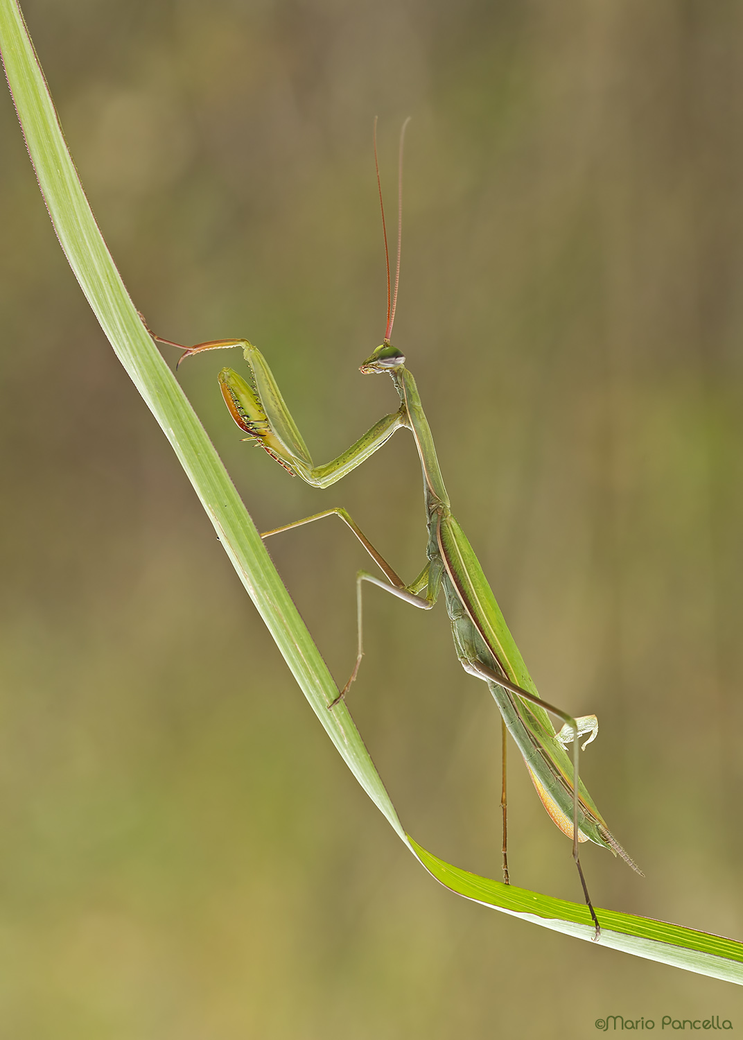 _V6A0883.jpg