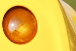 _Z2W7653_crop.jpg