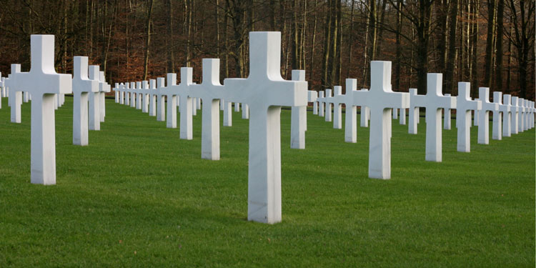 A1.jpg