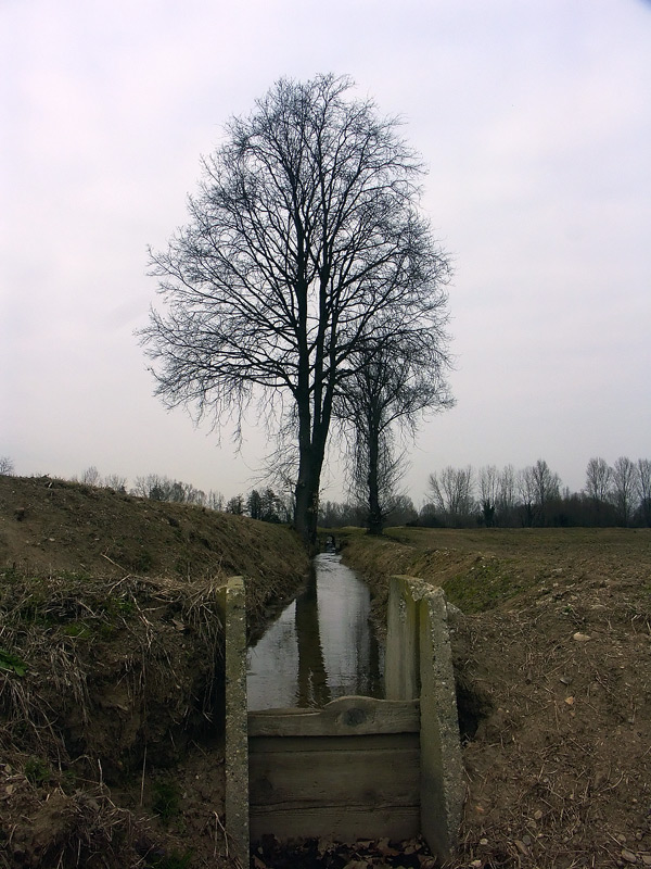 A1b-modificata.jpg