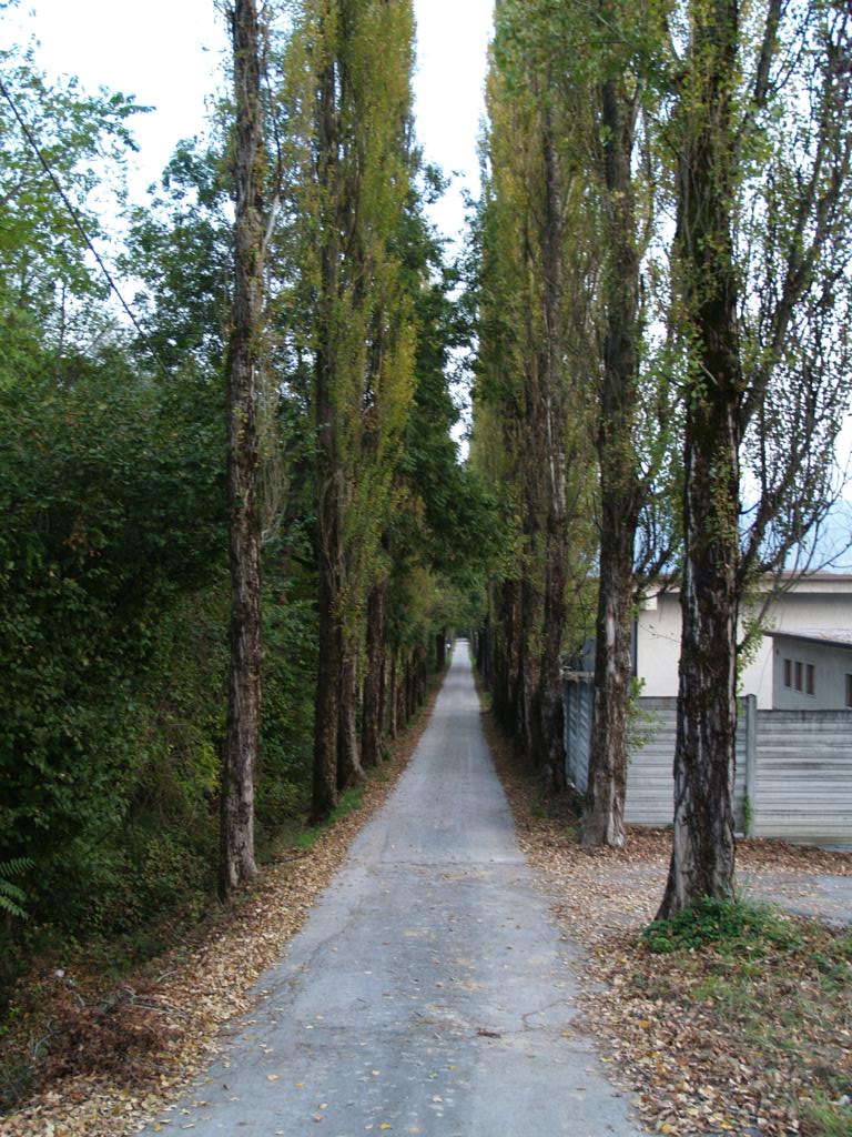 A5012614_1024x768.JPG