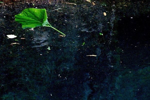 a5.jpg