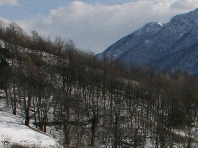 A.jpg