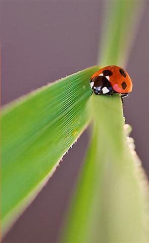 A (Small).jpg