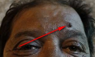 a_fhera_2012_3_201-crop.jpg
