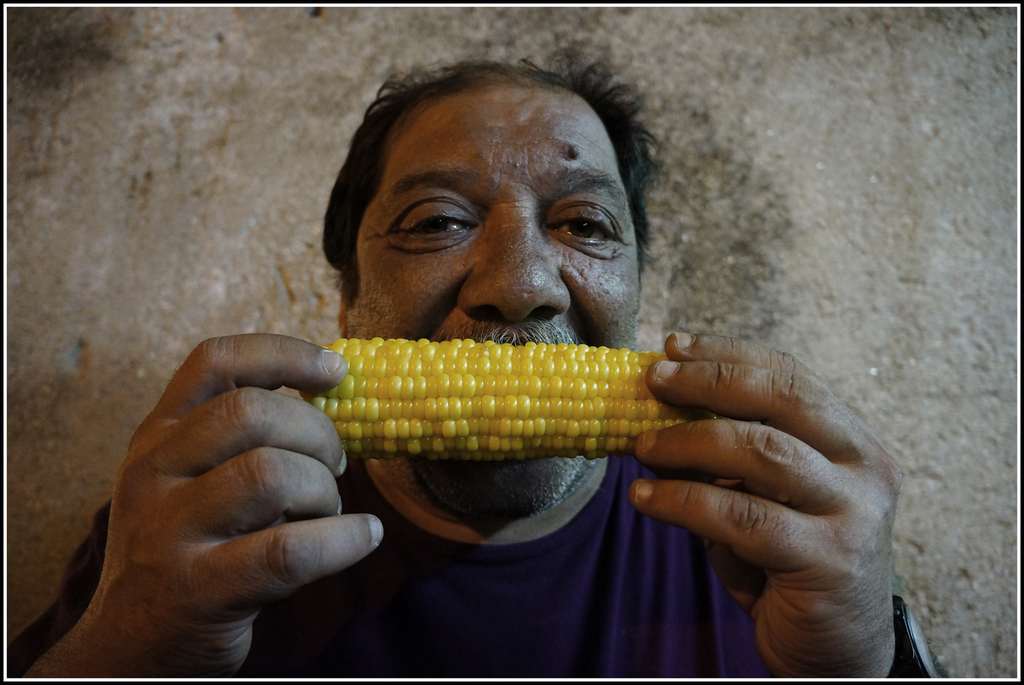 a fhera 2012 3.jpg