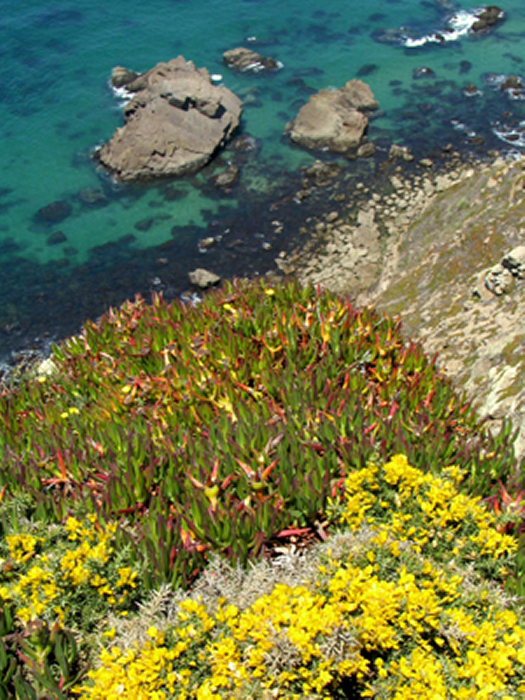 A picco sull'oceano700x525.JPG