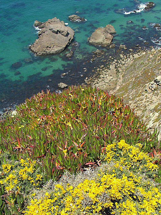 A picco sull'oceanoIMG_0784webRit.JPG