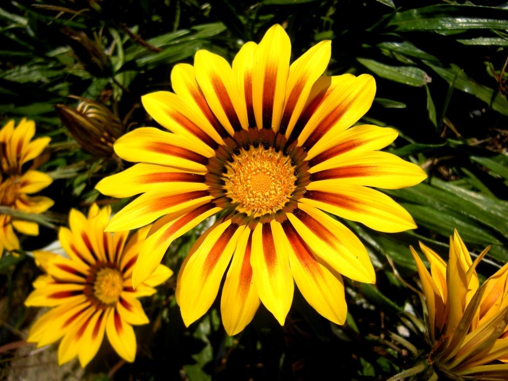 AA 028.jpg