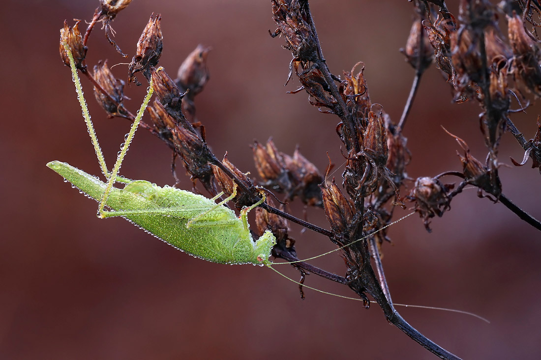 aae_5385_1100_web.jpg