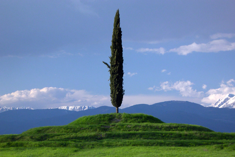 ADSCN2218R.jpg
