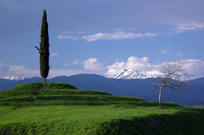 ADSCN2219R.jpg