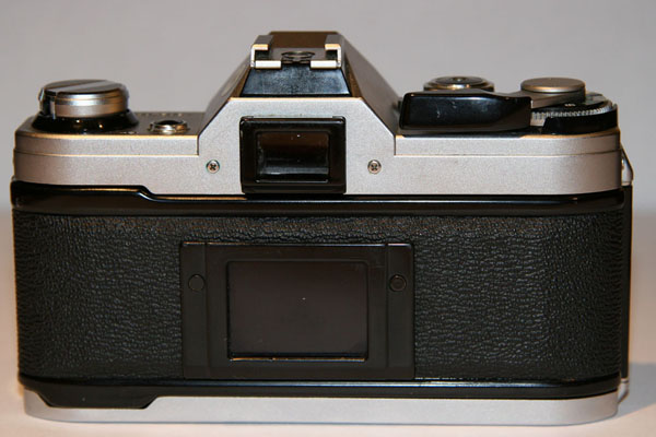 ae1 back sit.jpg