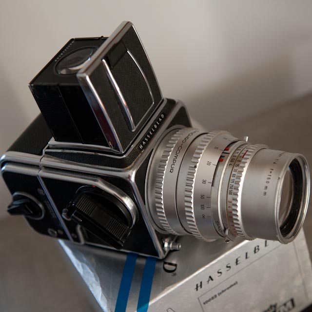 AF2_3686-2.jpg