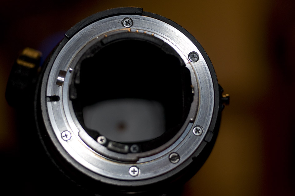 af300f4_05.jpg