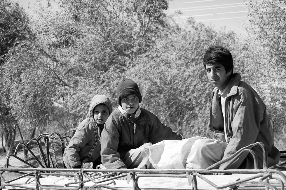 afg15.jpg