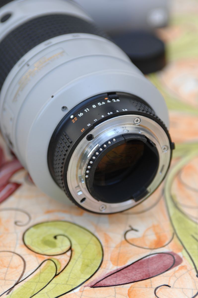 AFS 80-200_4.JPG