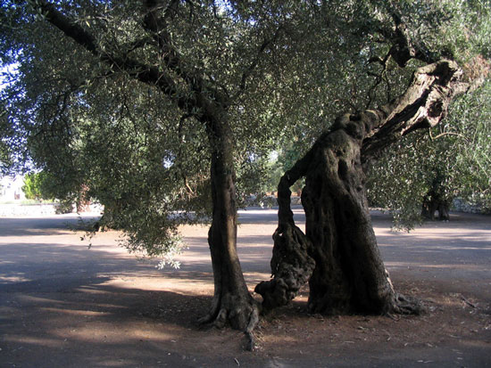 agosto-132.jpg