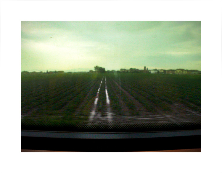 agriculture.jpg