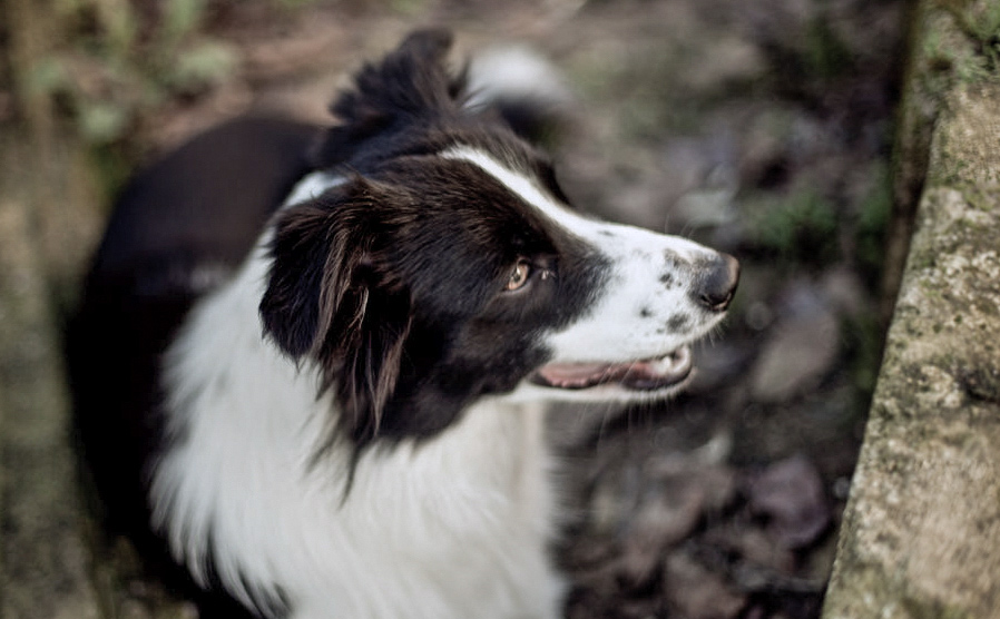 aika-2.jpg