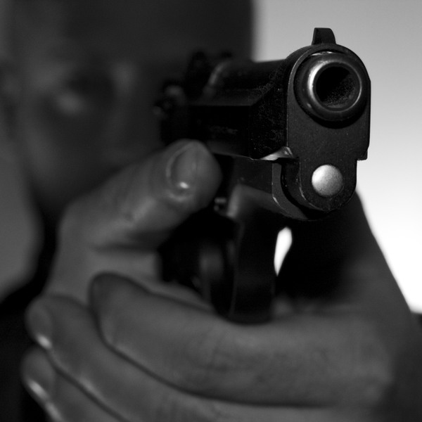 aim&shoot_crop.jpg