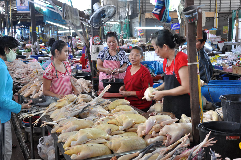 al-mercato_04.jpg