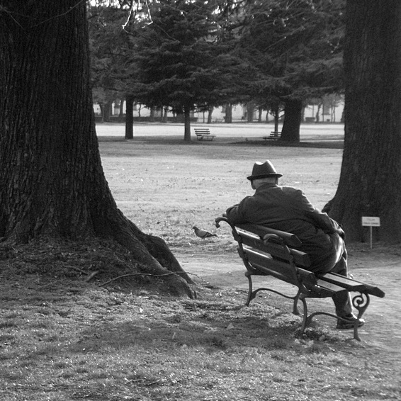 al parco bis.jpg