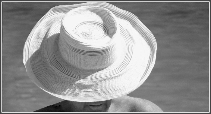 Al Riparo Dal Sole.jpg