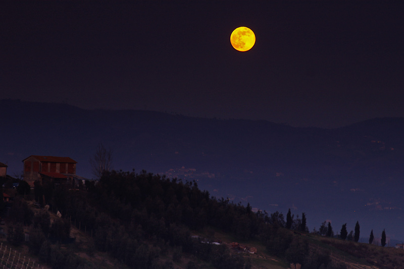 alba-luna-13.jpg