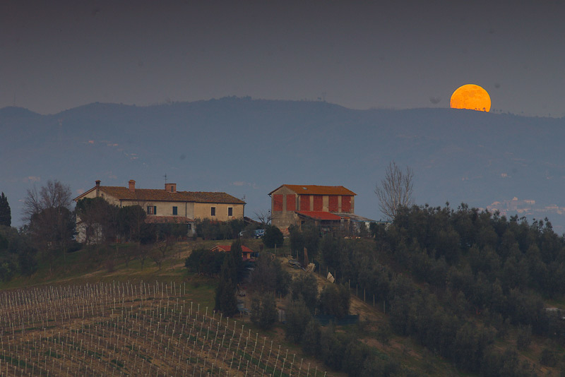 alba-luna-2.jpg