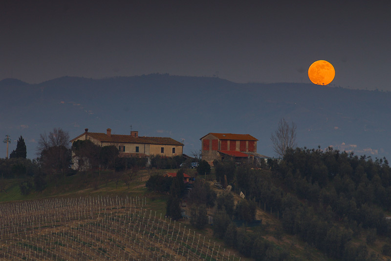 alba-luna-3.jpg