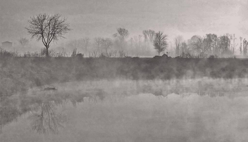 Alba-nella-nebbia-mattutina1.gif