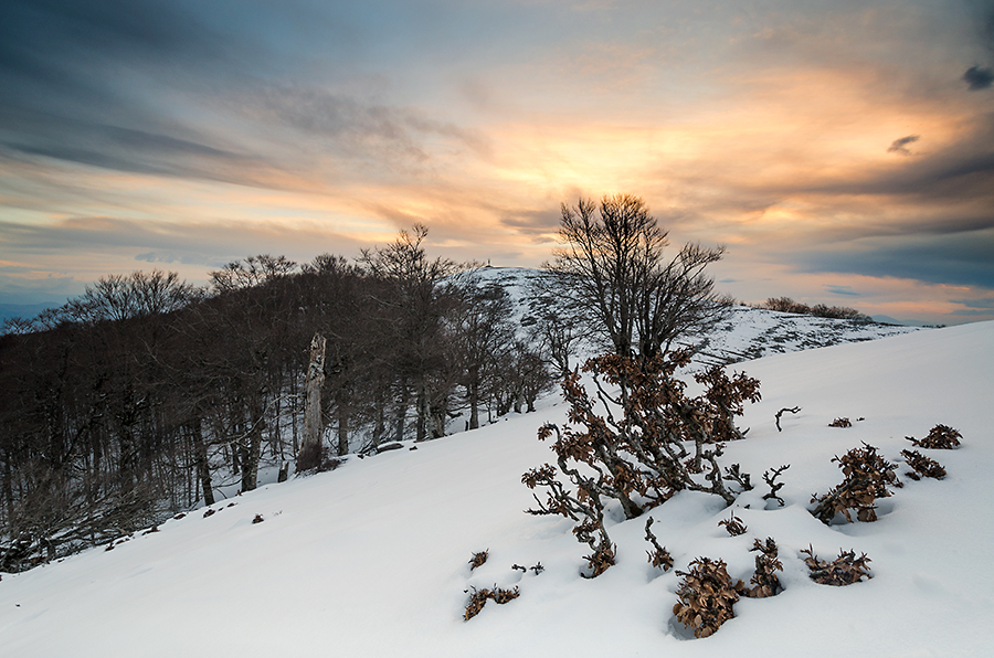 Alba-Semprevisa_DSC8983bis.jpg