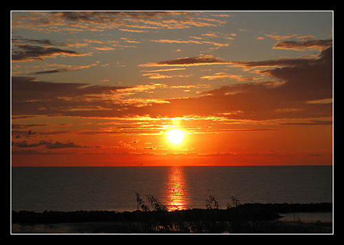 ALBA-WEB-200-KB-124.jpg