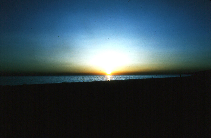 alba02.jpg