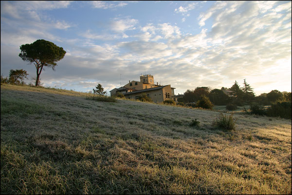alba2.jpg