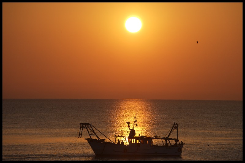 alba 2  2101.jpg