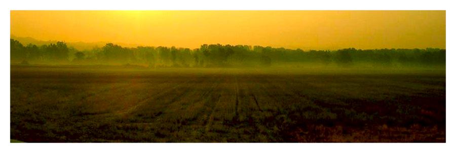 alba autunnale-1.jpg