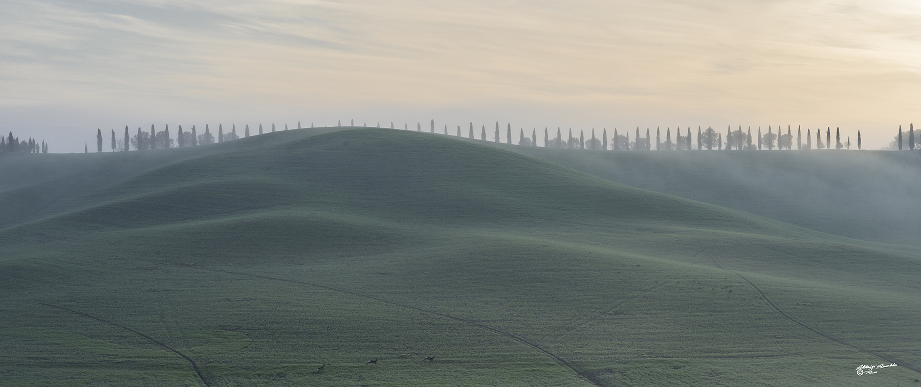 Alba Ghizzano-024a.jpg