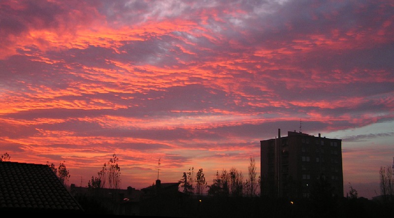 alba in citt 2.jpg