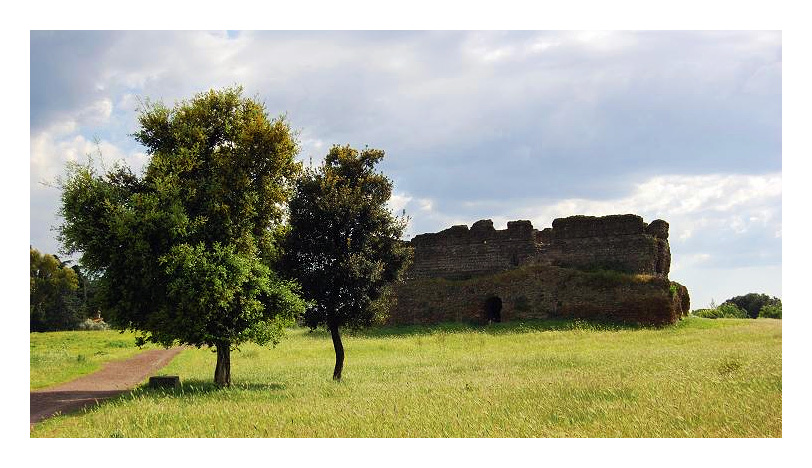 Alberi.jpg