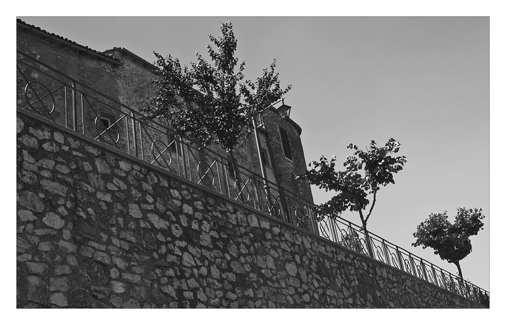 alberi small.jpg