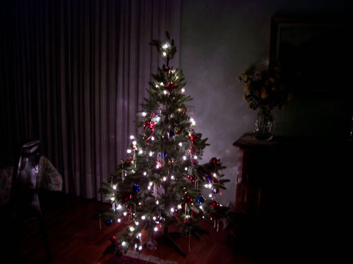 albero1.jpg