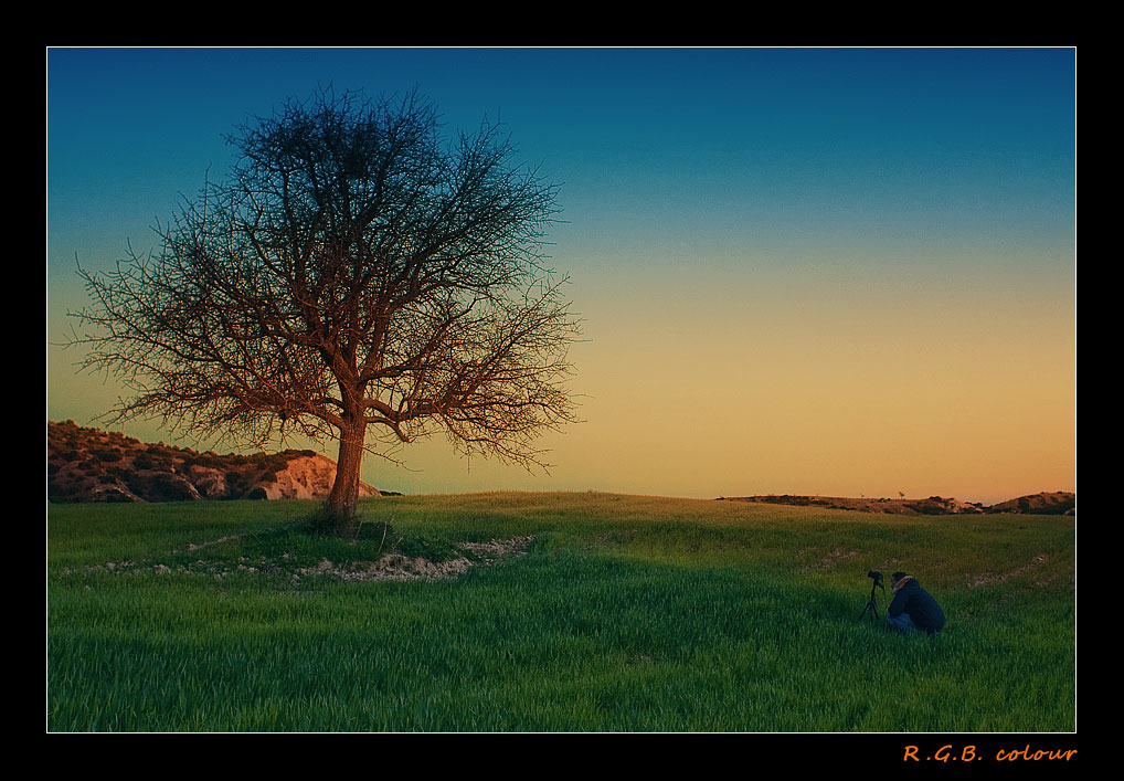 albero1.jpg