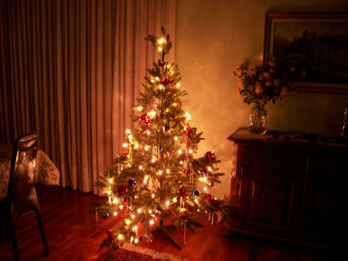 albero3.jpg